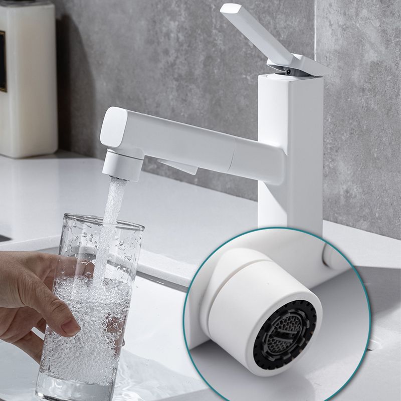 Stylish Lever Handle Kitchen Faucet with Rotating Spout