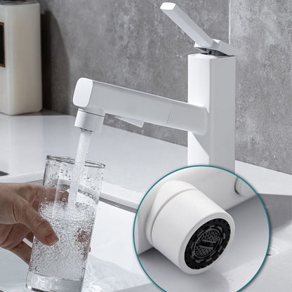 Stylish Lever Handle Kitchen Faucet with Rotating Spout