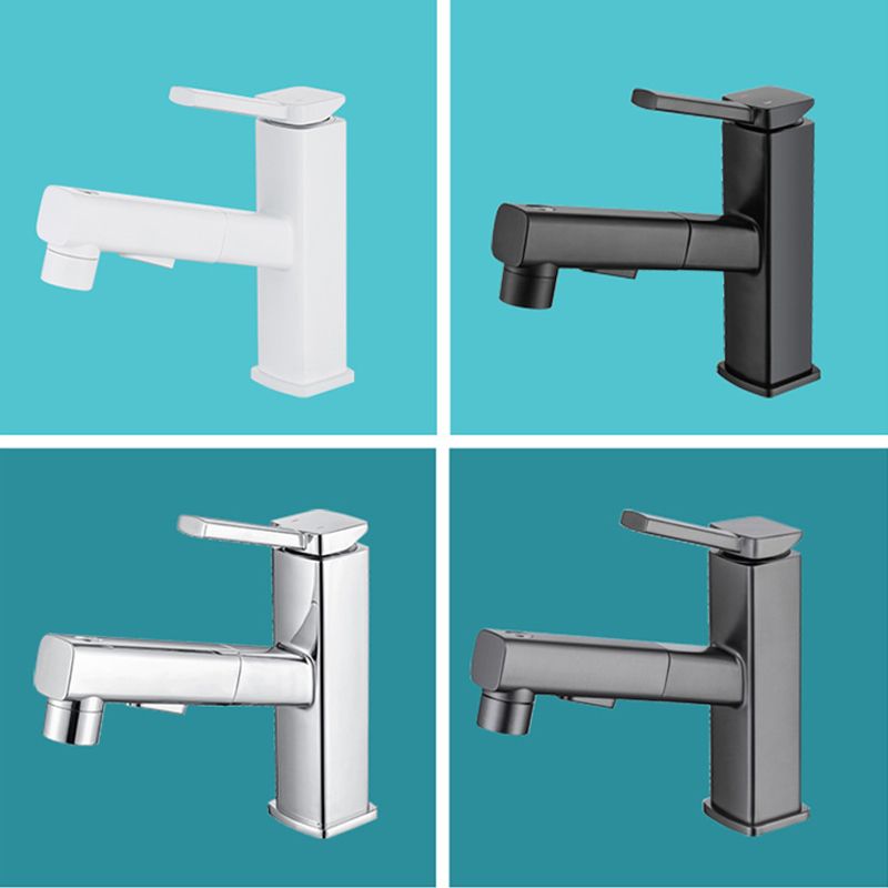 Stylish Lever Handle Kitchen Faucet with Rotating Spout