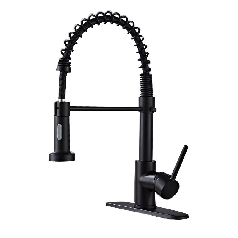 Premium 3-Function Brass Kitchen Sink Faucet Tap