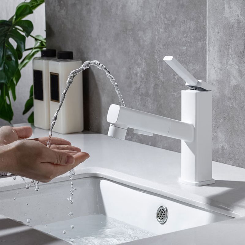 Stylish Lever Handle Kitchen Faucet with Rotating Spout