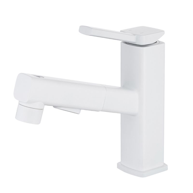 Stylish Lever Handle Kitchen Faucet with Rotating Spout