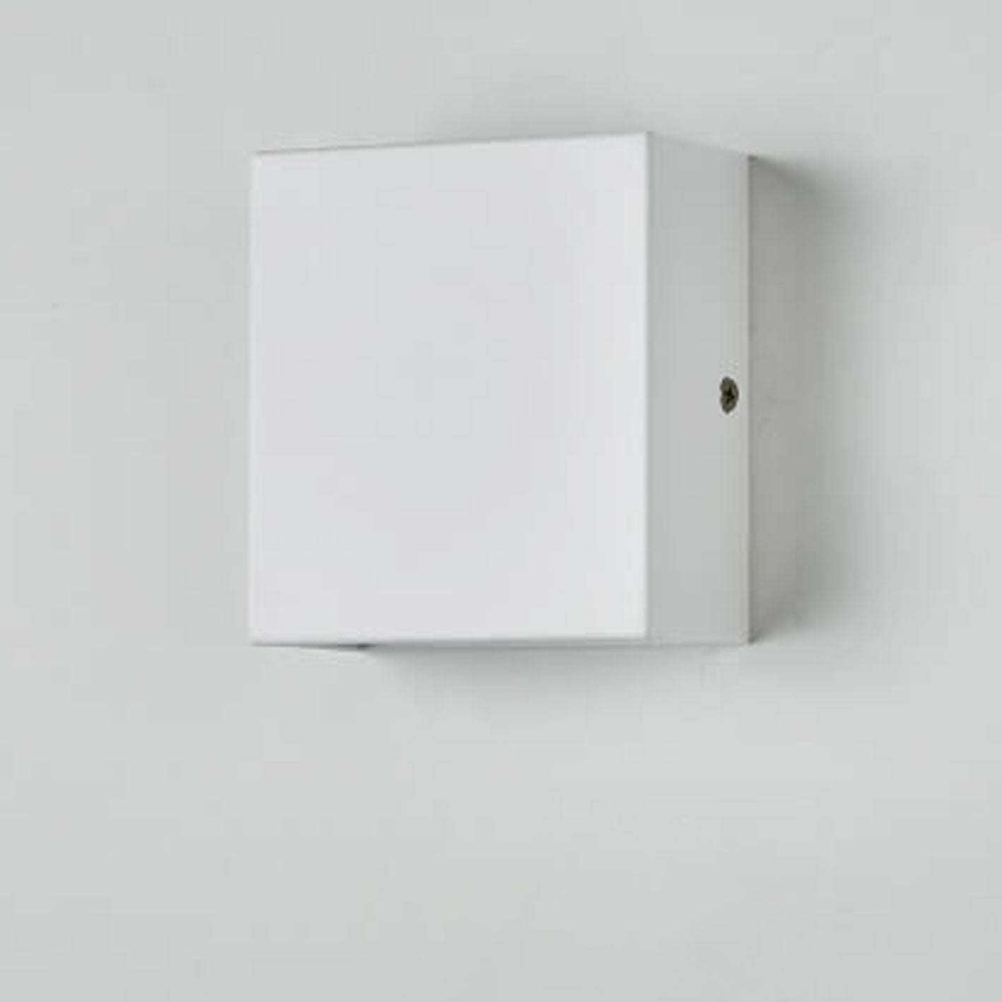 Automatic LED Outdoor Indoor Wall Lamp