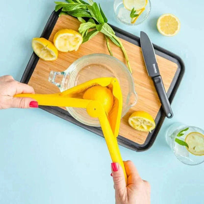 Easy To Use Juice Extractor Machine
