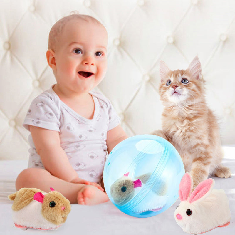 Bouncy Pet Play Ball Toy
