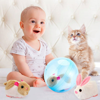 Bouncy Pet Play Ball Toy