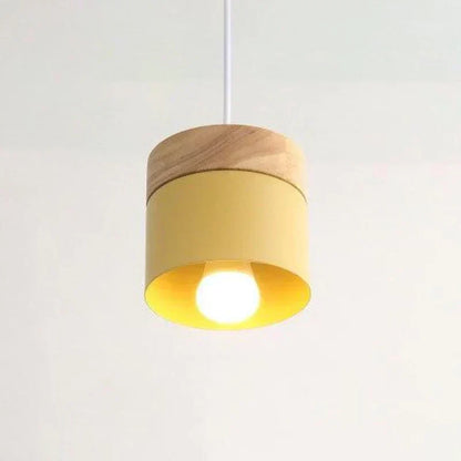 Modern Hanging Light Fixture