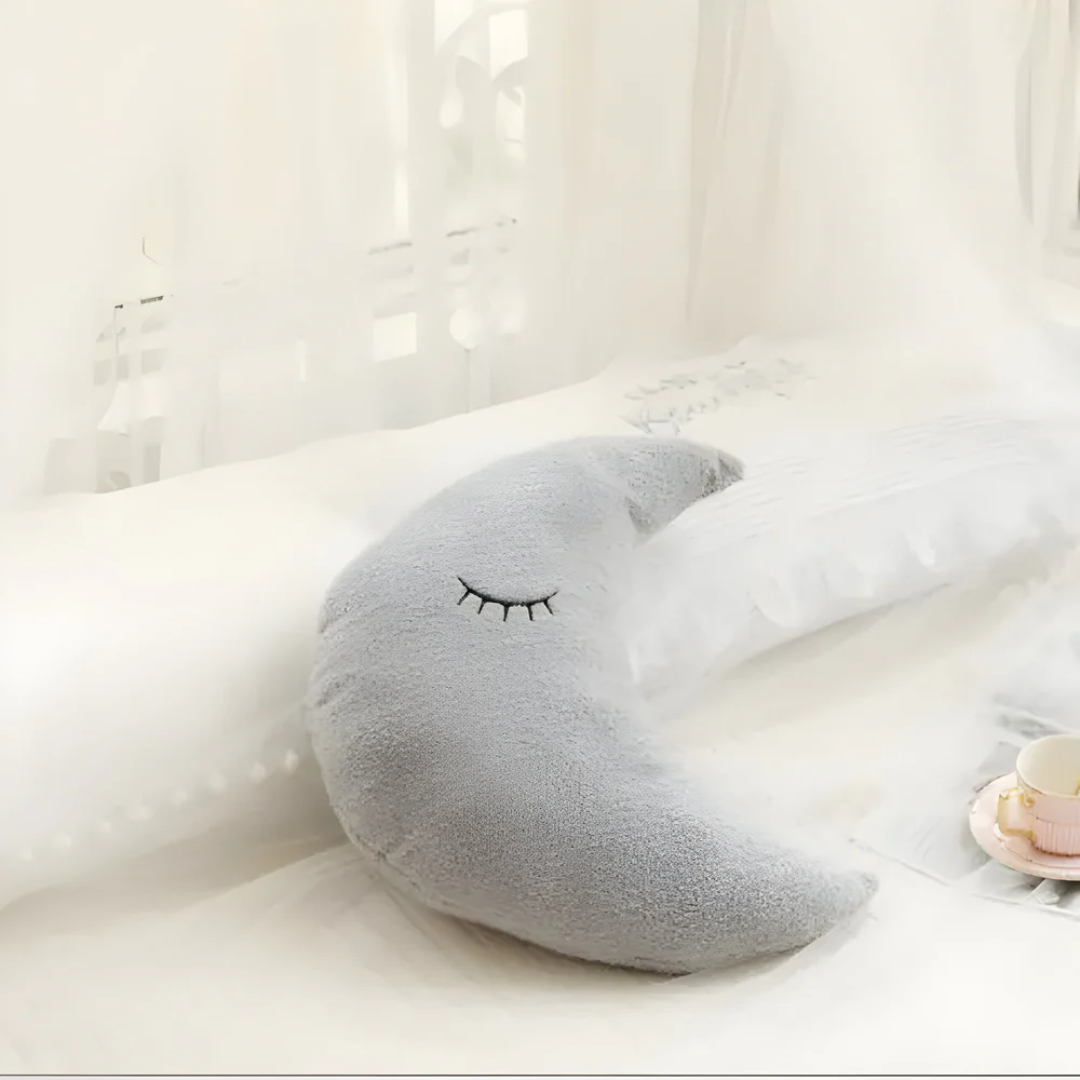 Plush Comfortable Accent Pillow