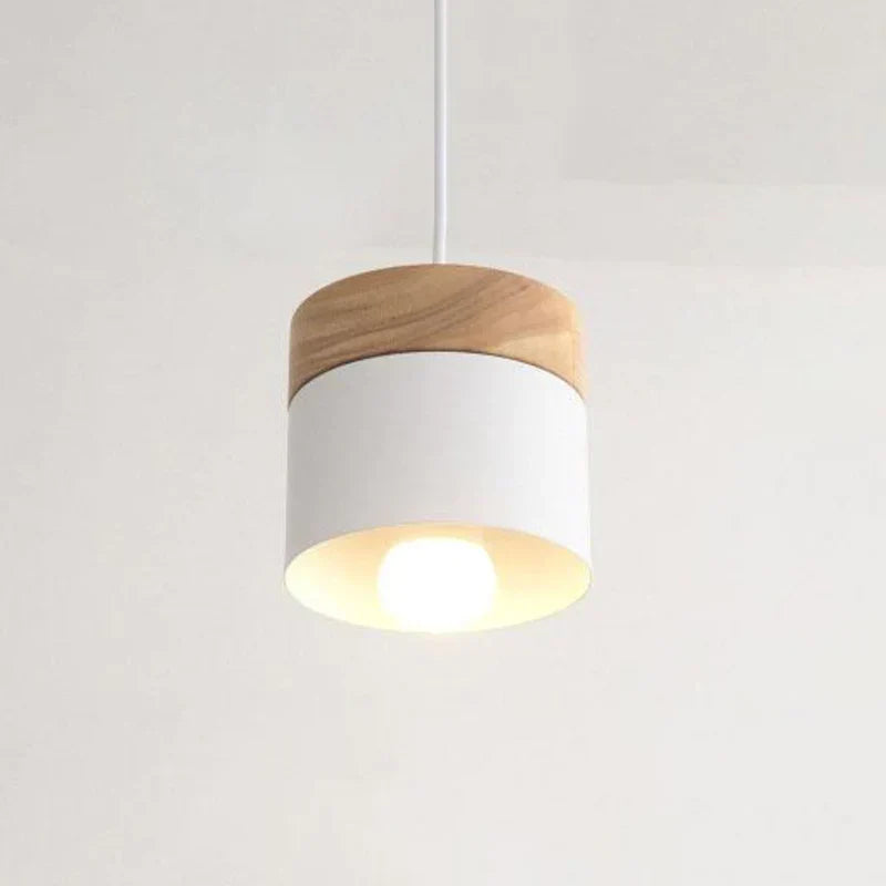 Modern Hanging Light Fixture