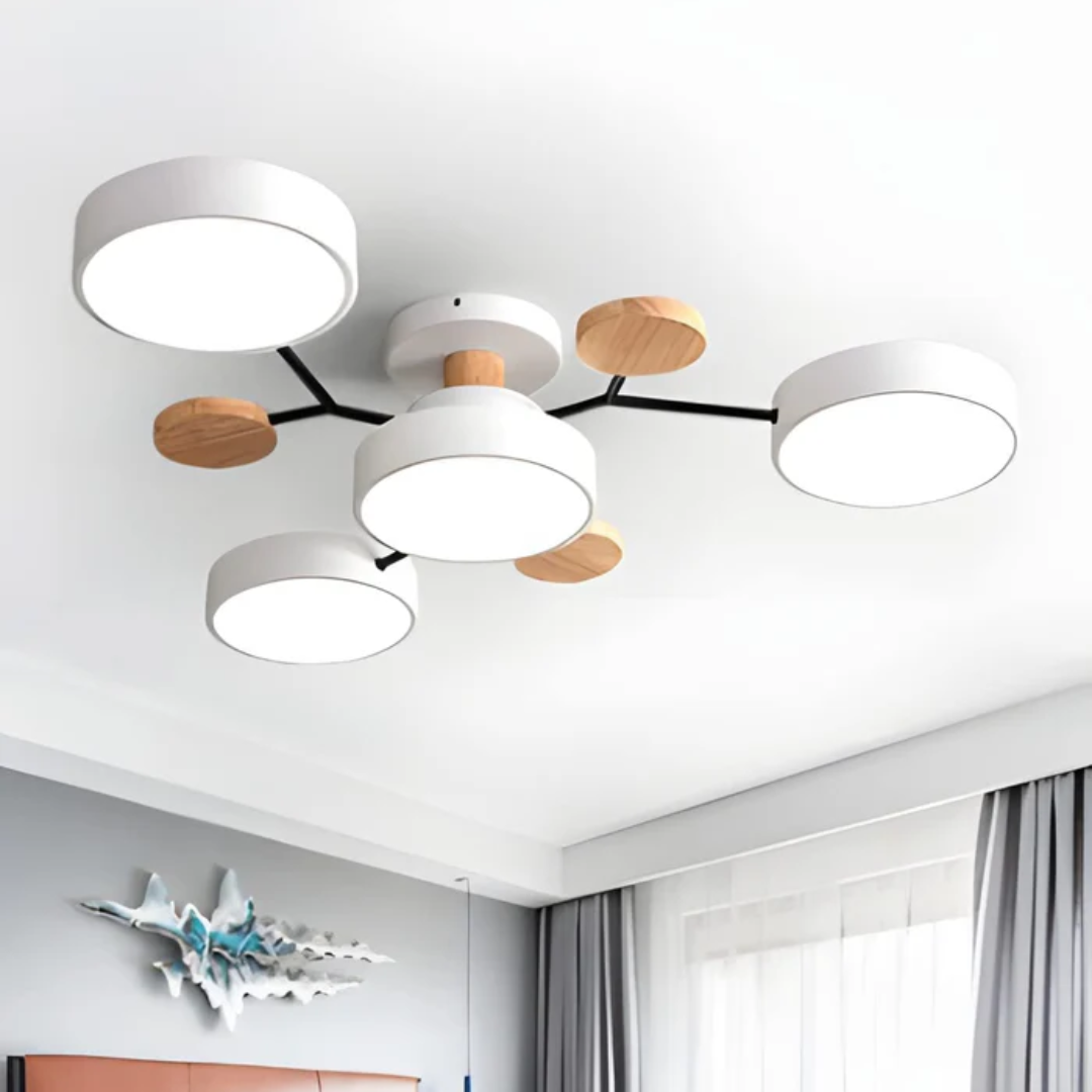 Modern Circular Overhead Lamp