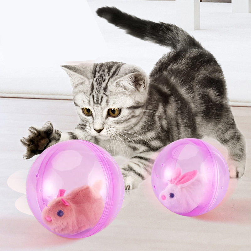 Bouncy Pet Play Ball Toy