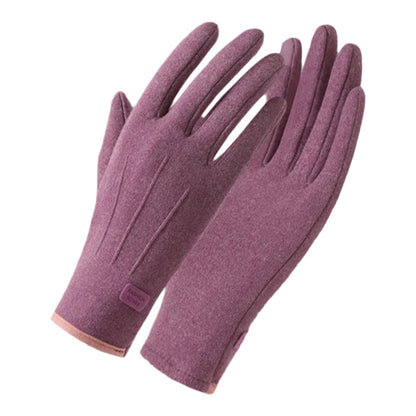 Cozy Insulated Touch Screen Gloves