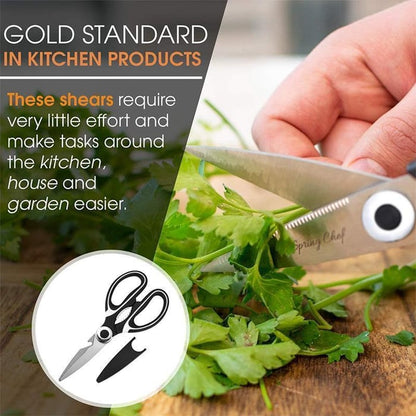 Sharp Kitchen Shears for Home Use