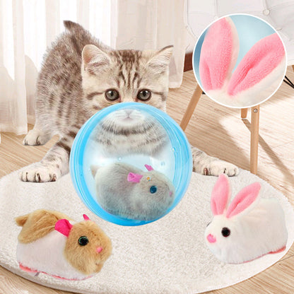 Bouncy Pet Play Ball Toy