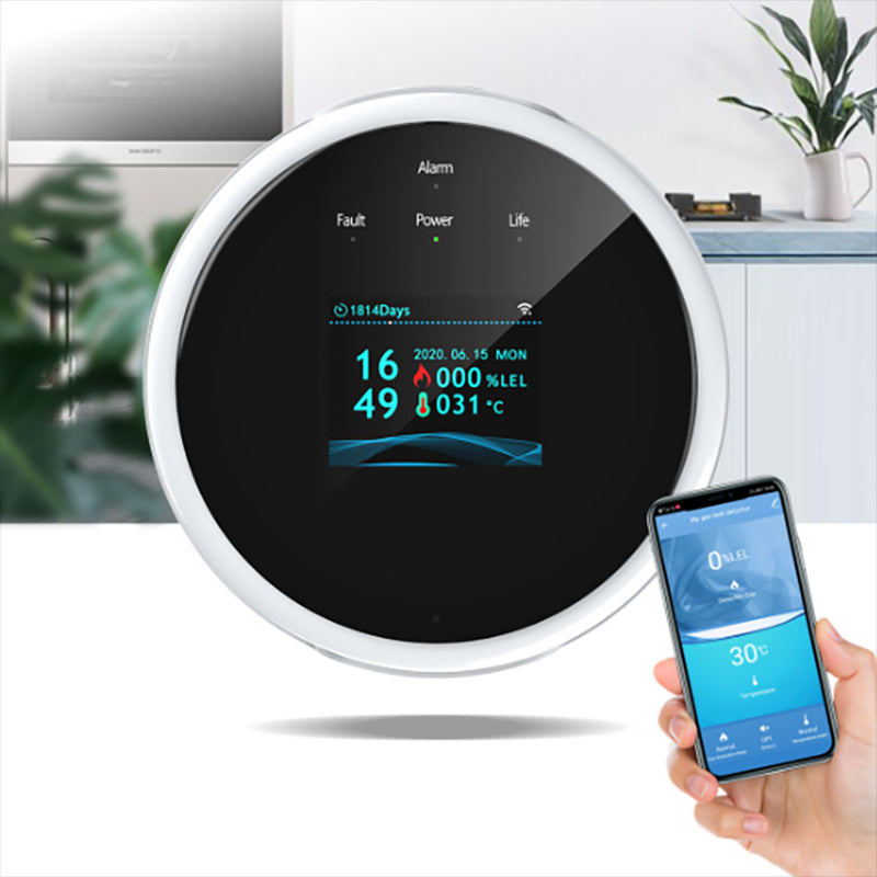 Accurate Gas Leak Detector With Alarm And Digital Screen - Luxicro