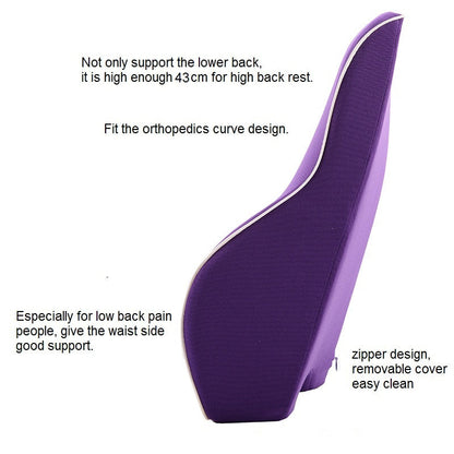 Back Support Comfort Cushion Pillow