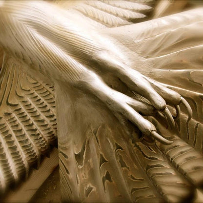 Beautiful Owl Home Wall Art