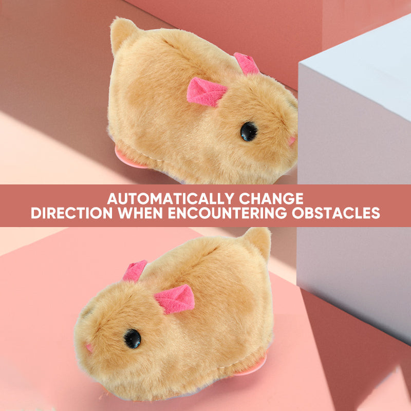 Bouncy Pet Play Ball Toy