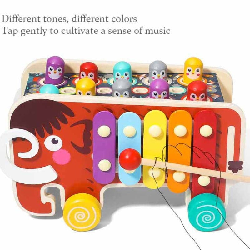 Colorful Kids Educational Music Instrument