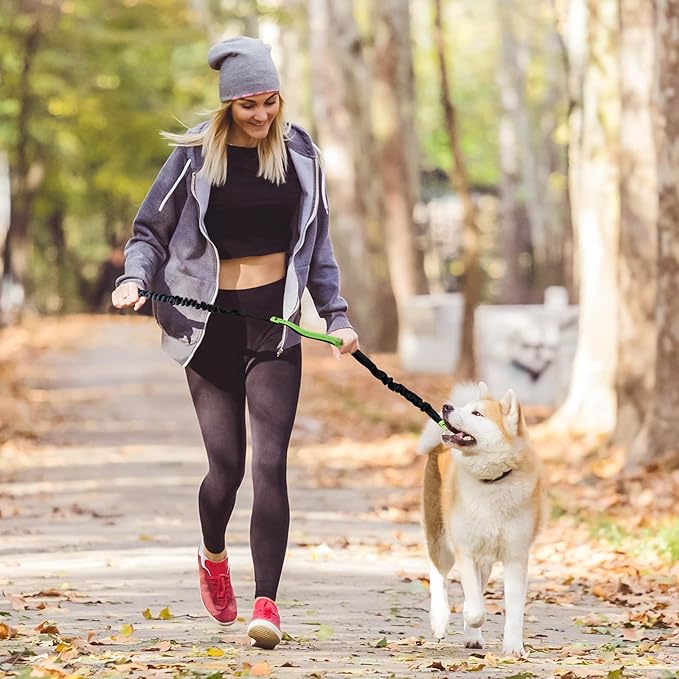 Comfortable No Pull Dog Harness Leash