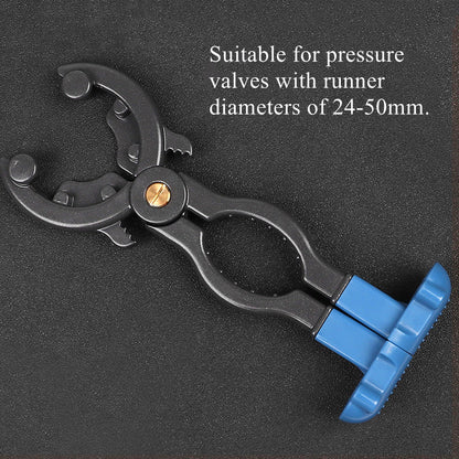 Heavy Duty Fuel Pressure Test Kit
