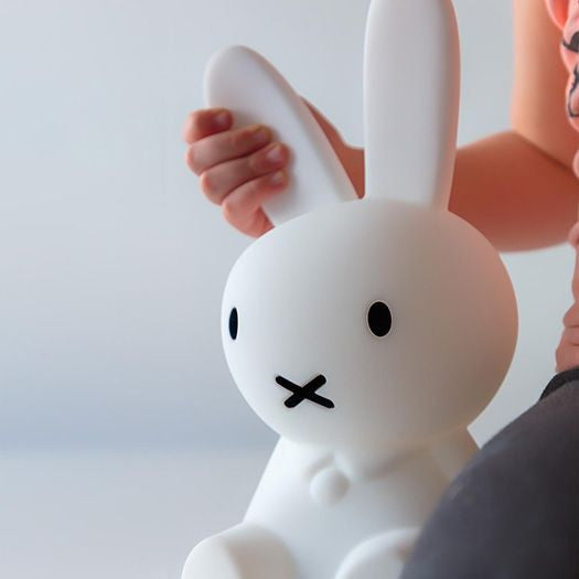 Classic Miffy Desk Table Lamp