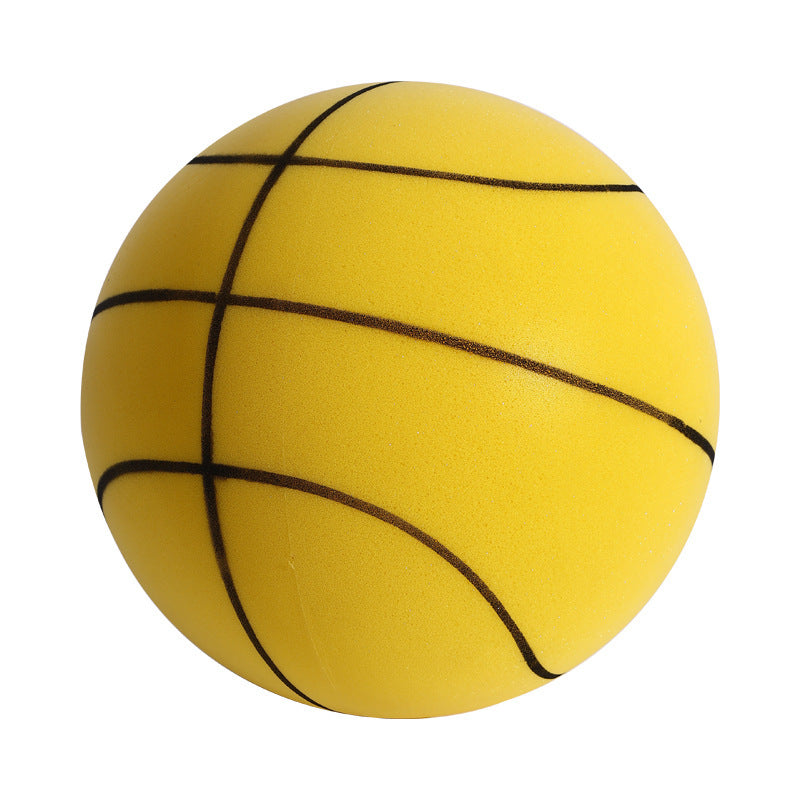 Fun Home Basketball Hoop