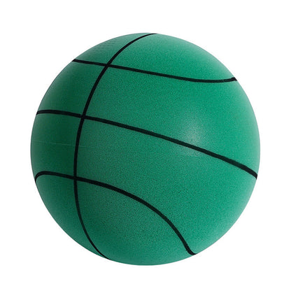Fun Home Basketball Hoop