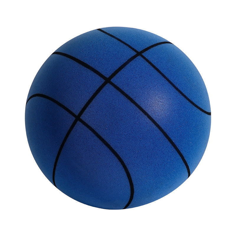 Fun Home Basketball Hoop