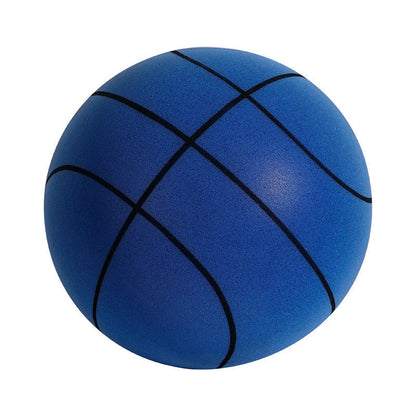 Fun Home Basketball Hoop