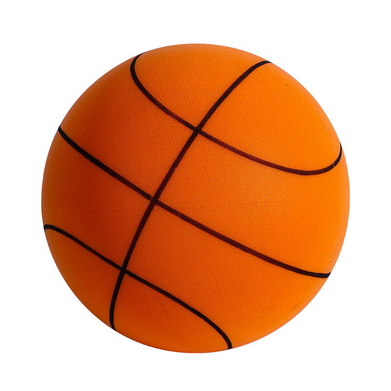 Fun Home Basketball Hoop