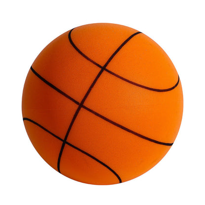 Fun Home Basketball Hoop