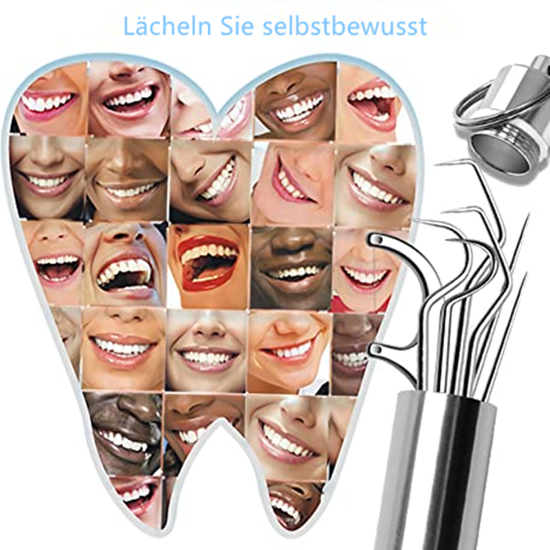 High Quality Stainless Steel Pick Set