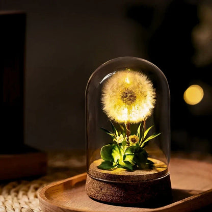Warm White Bedside Table Lamp