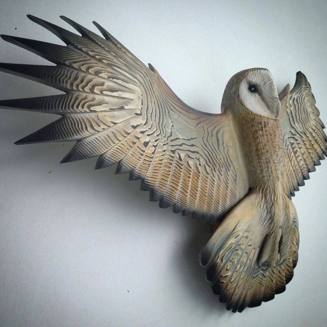 Beautiful Owl Home Wall Art