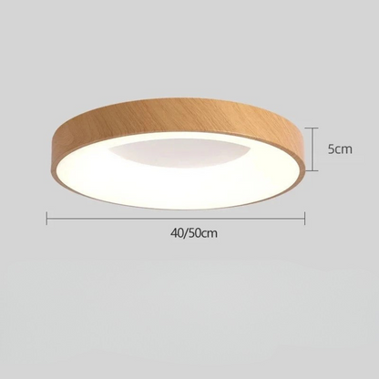 Contemporary Round LED Ceiling Light for Home