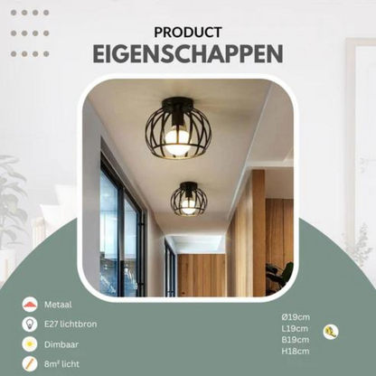 Modern Open Frame Ceiling Light