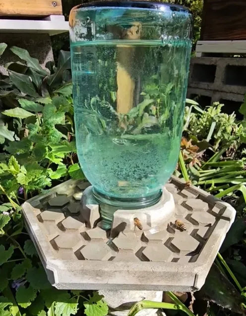 Best Bee House for Garden Wildlife Habitat