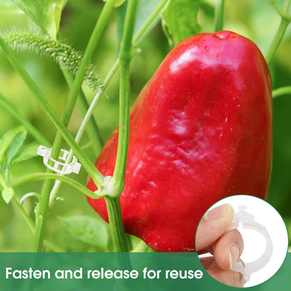Simple Plant Supports for Tomatoes