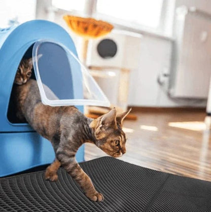 Automatic Odor Control Cat Litter Box