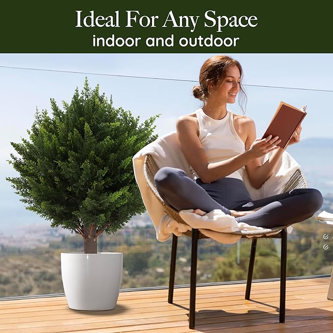 Natural Forest Room Deodorizer Spray