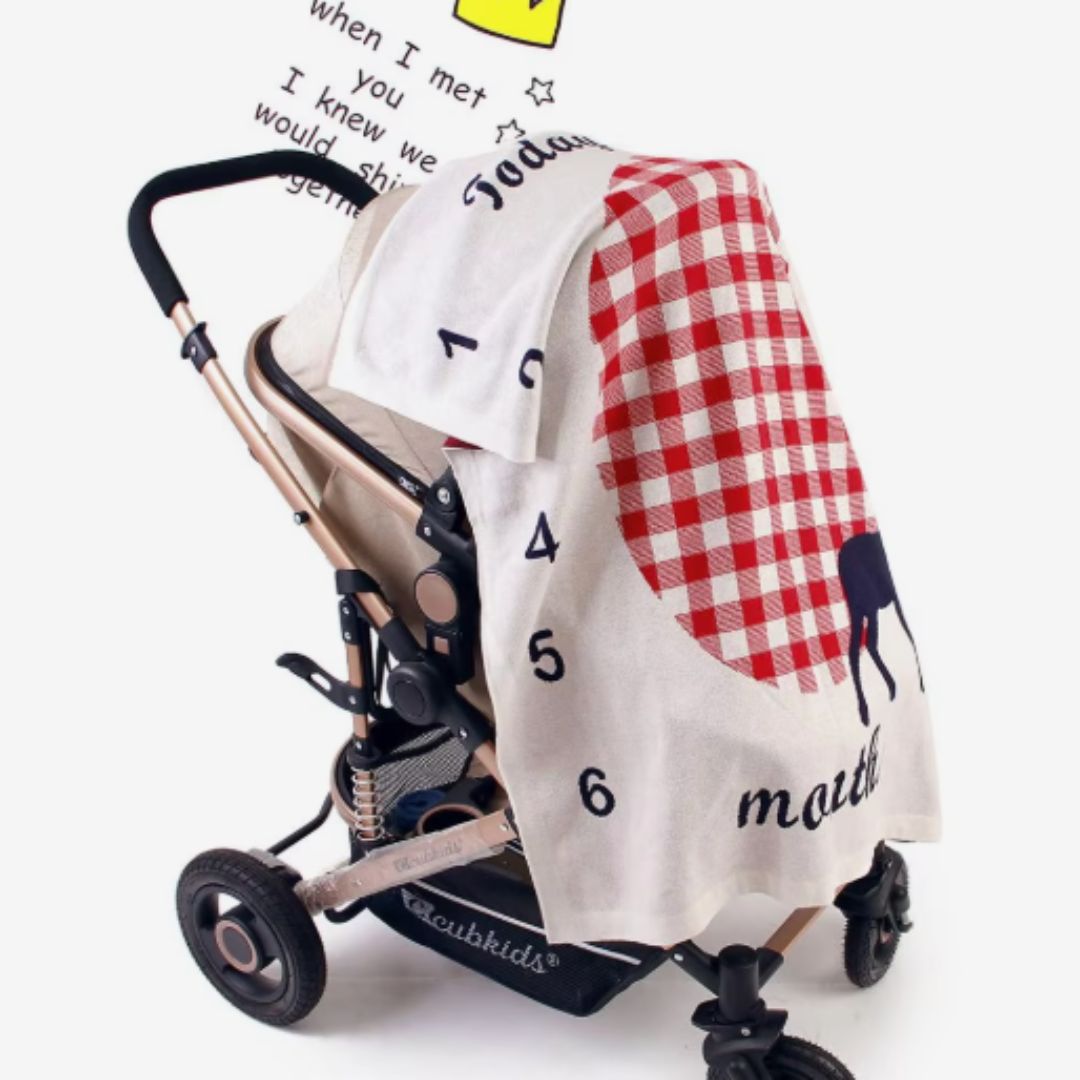 Custom Baby Blanket with Age Milestones