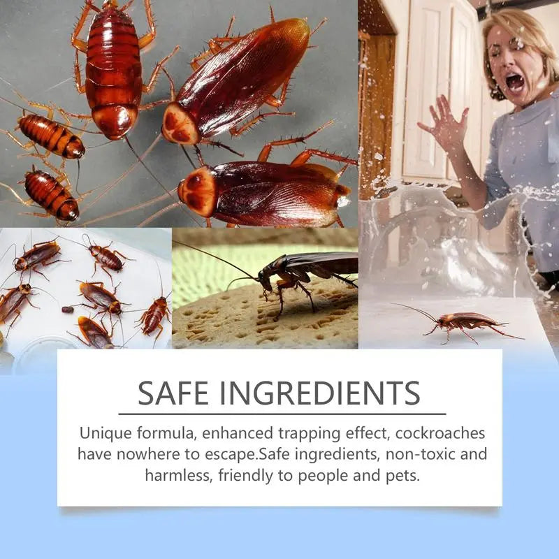 Effective Pest Control Roach Traps