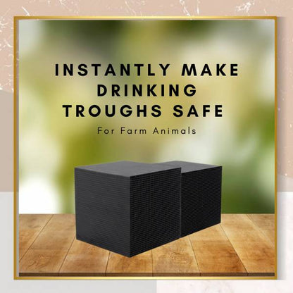 Clean Water Filter System for Pets and Animals