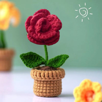 Colorful Hand Knit Flower Decor