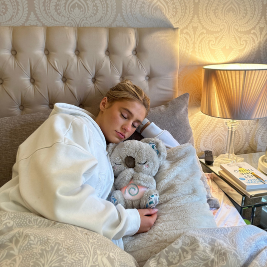 Cute Snuggly Koala Teddy Bear Plush Toy - Luxicro