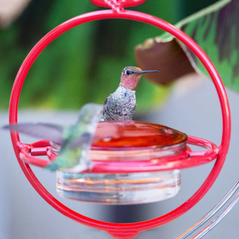 Decorative Bird Design Water Fountain