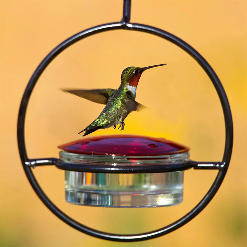 Decorative Bird Design Water Fountain