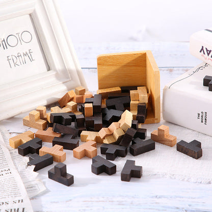 Challenging Wooden Logic Puzzle Game