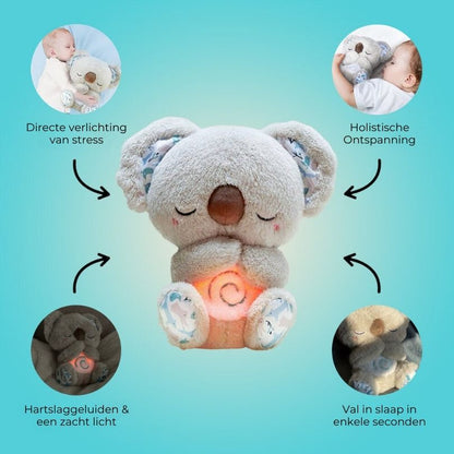 Cozy Plush Teddy Bear